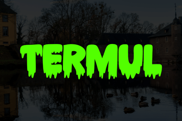 Termul: A Unique and Versatile Display Font for Modern Design